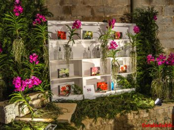 63-ый Фестиваль цветов в Жироне, 2018 / 63ª edició de Girona, Temps de Flors (Tiempo de Flores), 2018