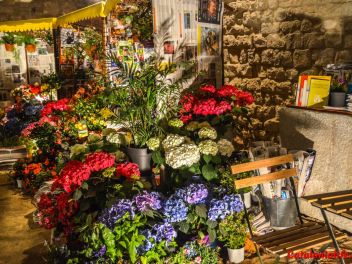63-ый Фестиваль цветов в Жироне, 2018 / 63ª edició de Girona, Temps de Flors (Tiempo de Flores), 2018
