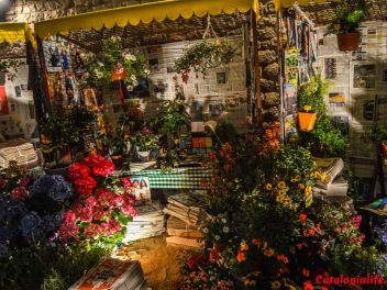63-ый Фестиваль цветов в Жироне, 2018 / 63ª edició de Girona, Temps de Flors (Tiempo de Flores), 2018