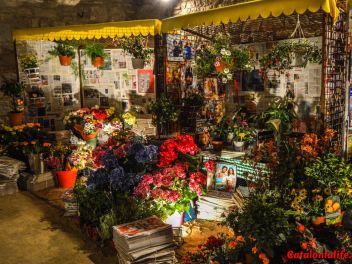 63-ый Фестиваль цветов в Жироне, 2018 / 63ª edició de Girona, Temps de Flors (Tiempo de Flores), 2018