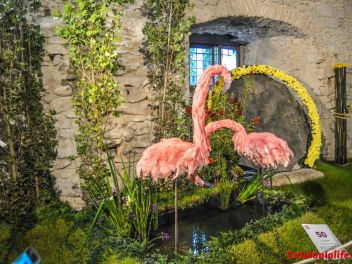 63-ый Фестиваль цветов в Жироне, 2018 / 63ª edició de Girona, Temps de Flors (Tiempo de Flores), 2018
