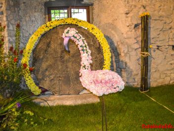 63-ый Фестиваль цветов в Жироне, 2018 / 63ª edició de Girona, Temps de Flors (Tiempo de Flores), 2018