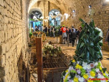 63-ый Фестиваль цветов в Жироне, 2018 / 63ª edició de Girona, Temps de Flors (Tiempo de Flores), 2018