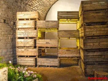 63-ый Фестиваль цветов в Жироне, 2018 / 63ª edició de Girona, Temps de Flors (Tiempo de Flores), 2018