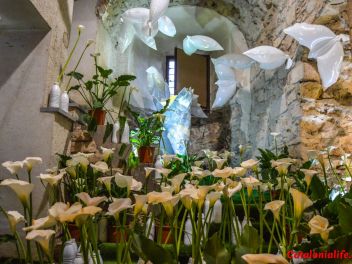 63-ый Фестиваль цветов в Жироне, 2018 / 63ª edició de Girona, Temps de Flors (Tiempo de Flores), 2018