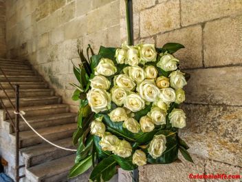 63-ый Фестиваль цветов в Жироне, 2018 / 63ª edició de Girona, Temps de Flors (Tiempo de Flores), 2018