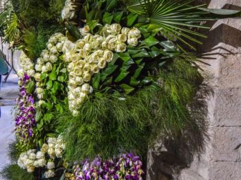 63-ый Фестиваль цветов в Жироне, 2018 / 63ª edició de Girona, Temps de Flors (Tiempo de Flores), 2018