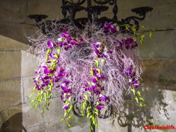 63-ый Фестиваль цветов в Жироне, 2018 / 63ª edició de Girona, Temps de Flors (Tiempo de Flores), 2018