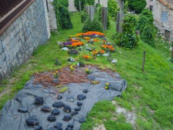 63-ый Фестиваль цветов в Жироне, 2018 / 63ª edició de Girona, Temps de Flors (Tiempo de Flores), 2018