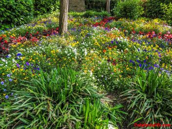 63-ый Фестиваль цветов в Жироне, 2018 / 63ª edició de Girona, Temps de Flors (Tiempo de Flores), 2018