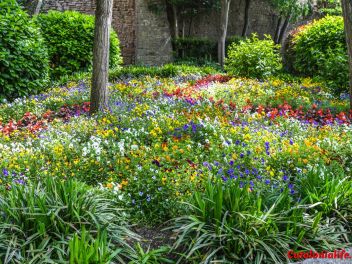 63-ый Фестиваль цветов в Жироне, 2018 / 63ª edició de Girona, Temps de Flors (Tiempo de Flores), 2018