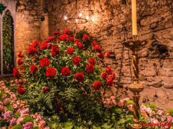 63-ый Фестиваль цветов в Жироне, 2018 / 63ª edició de Girona, Temps de Flors (Tiempo de Flores), 2018