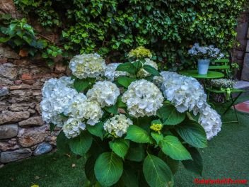 63-ый Фестиваль цветов в Жироне, 2018 / 63ª edició de Girona, Temps de Flors (Tiempo de Flores), 2018