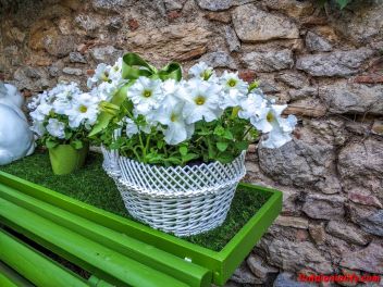 63-ый Фестиваль цветов в Жироне, 2018 / 63ª edició de Girona, Temps de Flors (Tiempo de Flores), 2018