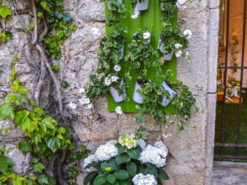 63-ый Фестиваль цветов в Жироне, 2018 / 63ª edició de Girona, Temps de Flors (Tiempo de Flores), 2018