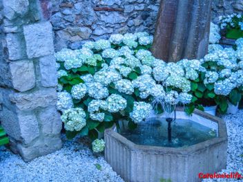 63-ый Фестиваль цветов в Жироне, 2018 / 63ª edició de Girona, Temps de Flors (Tiempo de Flores), 2018