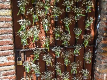 63-ый Фестиваль цветов в Жироне, 2018 / 63ª edició de Girona, Temps de Flors (Tiempo de Flores), 2018