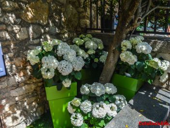 63-ый Фестиваль цветов в Жироне, 2018 / 63ª edició de Girona, Temps de Flors (Tiempo de Flores), 2018