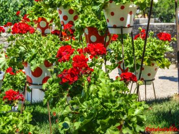 63-ый Фестиваль цветов в Жироне, 2018 / 63ª edició de Girona, Temps de Flors (Tiempo de Flores), 2018