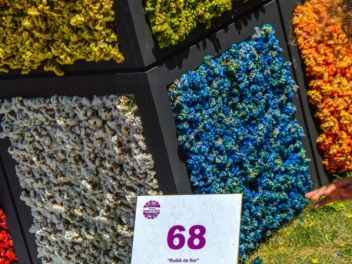 63-ый Фестиваль цветов в Жироне, 2018 / 63ª edició de Girona, Temps de Flors (Tiempo de Flores), 2018