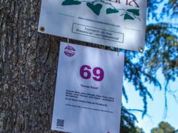 63-ый Фестиваль цветов в Жироне, 2018 / 63ª edició de Girona, Temps de Flors (Tiempo de Flores), 2018 
