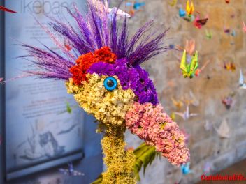63-ый Фестиваль цветов в Жироне, 2018 / 63ª edició de Girona, Temps de Flors (Tiempo de Flores), 2018 