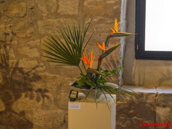 63-ый Фестиваль цветов в Жироне, 2018 / 63ª edició de Girona, Temps de Flors (Tiempo de Flores), 2018 