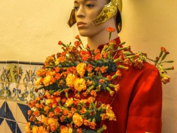 63-ый Фестиваль цветов в Жироне, 2018 / 63ª edició de Girona, Temps de Flors (Tiempo de Flores), 2018 