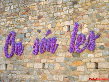 63-ый Фестиваль цветов в Жироне, 2018 / 63ª edició de Girona, Temps de Flors (Tiempo de Flores), 2018 