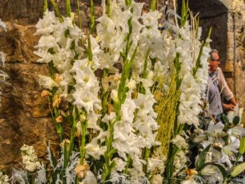 63-ый Фестиваль цветов в Жироне, 2018 / 63ª edició de Girona, Temps de Flors (Tiempo de Flores), 2018 