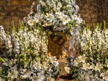 63-ый Фестиваль цветов в Жироне, 2018 / 63ª edició de Girona, Temps de Flors (Tiempo de Flores), 2018 