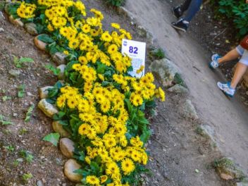 63-ый Фестиваль цветов в Жироне, 2018 / 63ª edició de Girona, Temps de Flors (Tiempo de Flores), 2018 
