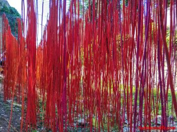63-ый Фестиваль цветов в Жироне, 2018 / 63ª edició de Girona, Temps de Flors (Tiempo de Flores), 2018 