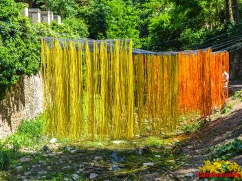 63-ый Фестиваль цветов в Жироне, 2018 / 63ª edició de Girona, Temps de Flors (Tiempo de Flores), 2018 