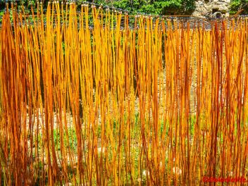 63-ый Фестиваль цветов в Жироне, 2018 / 63ª edició de Girona, Temps de Flors (Tiempo de Flores), 2018 