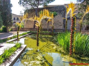 63-ый Фестиваль цветов в Жироне, 2018 / 63ª edició de Girona, Temps de Flors (Tiempo de Flores), 2018 
