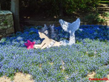 63-ый Фестиваль цветов в Жироне, 2018 / 63ª edició de Girona, Temps de Flors (Tiempo de Flores), 2018 