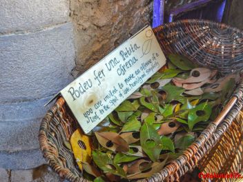 63-ый Фестиваль цветов в Жироне, 2018 / 63ª edició de Girona, Temps de Flors (Tiempo de Flores), 2018 