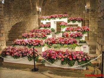 63-ый Фестиваль цветов в Жироне, 2018 / 63ª edició de Girona, Temps de Flors (Tiempo de Flores), 2018 