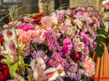 63-ый Фестиваль цветов в Жироне, 2018 / 63ª edició de Girona, Temps de Flors (Tiempo de Flores), 2018 