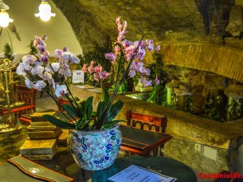 63-ый Фестиваль цветов в Жироне, 2018 / 63ª edició de Girona, Temps de Flors (Tiempo de Flores), 2018 