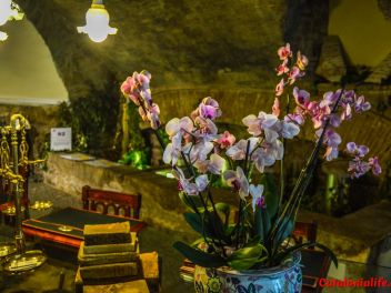 63-ый Фестиваль цветов в Жироне, 2018 / 63ª edició de Girona, Temps de Flors (Tiempo de Flores), 2018 