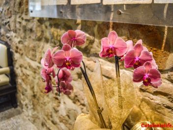 63-ый Фестиваль цветов в Жироне, 2018 / 63ª edició de Girona, Temps de Flors (Tiempo de Flores), 2018 