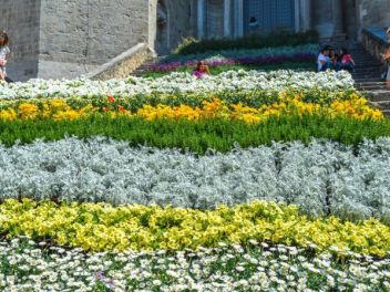 63-ый Фестиваль цветов в Жироне, 2018 / 63ª edició de Girona, Temps de Flors (Tiempo de Flores), 2018 