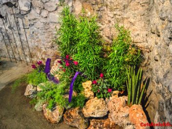 63-ый Фестиваль цветов в Жироне, 2018 / 63ª edició de Girona, Temps de Flors (Tiempo de Flores), 2018 
