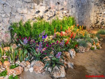 63-ый Фестиваль цветов в Жироне, 2018 / 63ª edició de Girona, Temps de Flors (Tiempo de Flores), 2018 