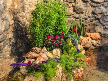 63-ый Фестиваль цветов в Жироне, 2018 / 63ª edició de Girona, Temps de Flors (Tiempo de Flores), 2018 