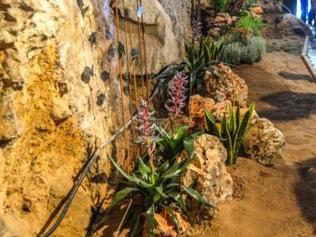 63-ый Фестиваль цветов в Жироне, 2018 / 63ª edició de Girona, Temps de Flors (Tiempo de Flores), 2018 