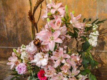 63-ый Фестиваль цветов в Жироне, 2018 / 63ª edició de Girona, Temps de Flors (Tiempo de Flores), 2018 