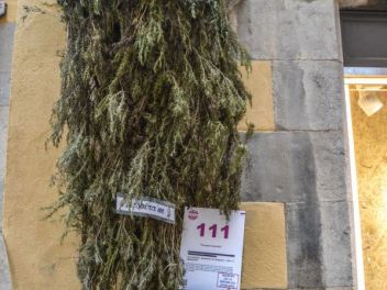 63-ый Фестиваль цветов в Жироне, 2018 / 63ª edició de Girona, Temps de Flors (Tiempo de Flores), 2018 